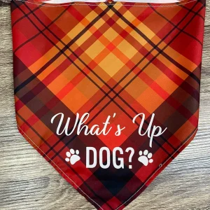 Dog Bandanna - What's Up Dog