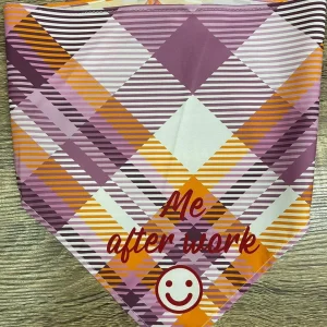 Dog Bandanna - Me after work