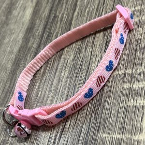 Dog Accessories